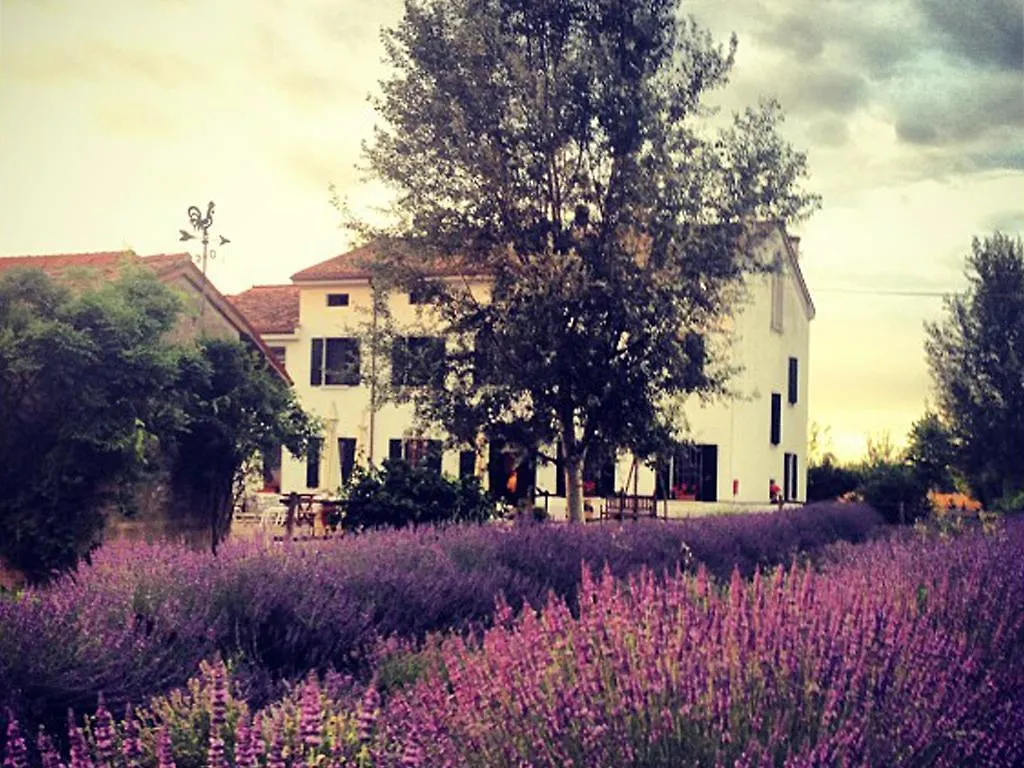 Agriturismo Viridarium Villa Castellucchio إيطاليا